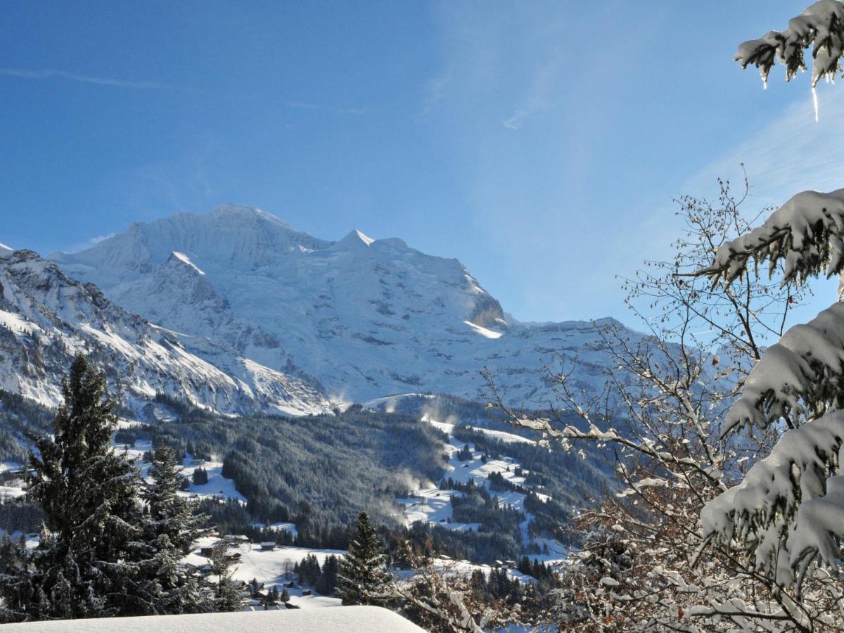 Apartment Im Gruebi-1 By Interhome Wengen Eksteriør bilde